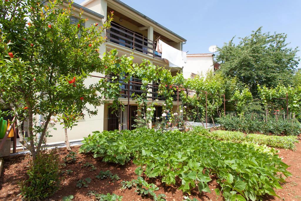 Apartment Oliva Póla Kültér fotó